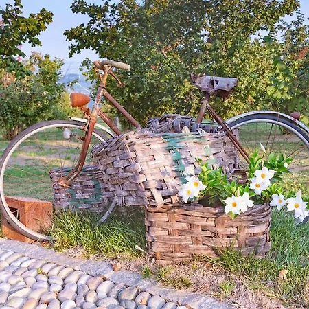 Tenuta Bricchi Sinio